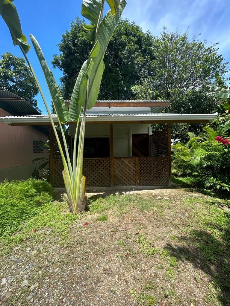 Ballena Oasis Homes & Glamping Uvita Bagian luar foto